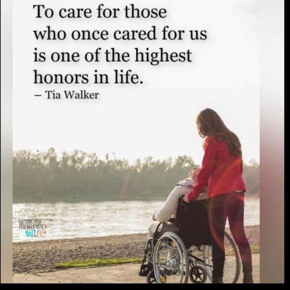 🪻Luminary Lanterns MODGY Magnolia LandScape NIB - Picture 14 of 15